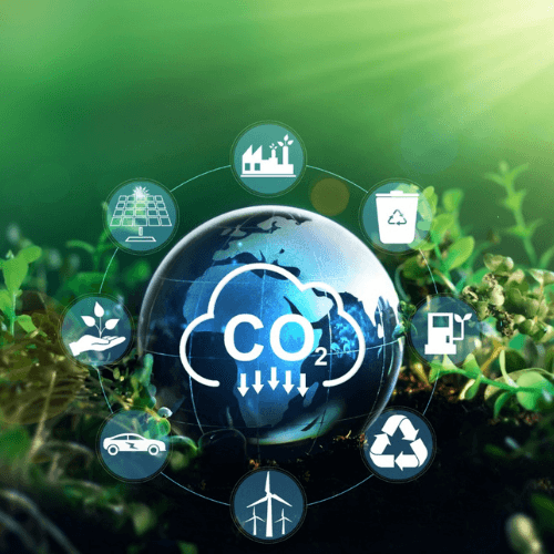 net zero carbon portfolio alignment