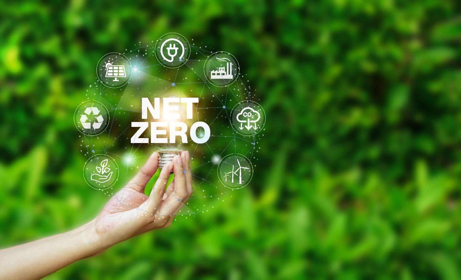 Net Zero Consultancy, net zero carbon consultants, net zero carbon portfolio alignment