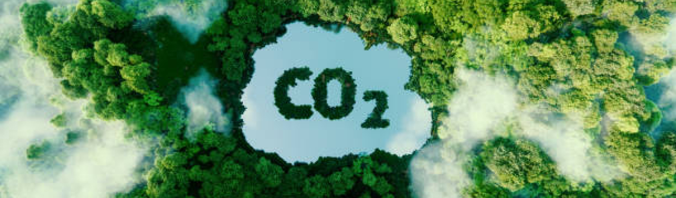 The BNZ X marketplace dashboard showing verified climate credit listings